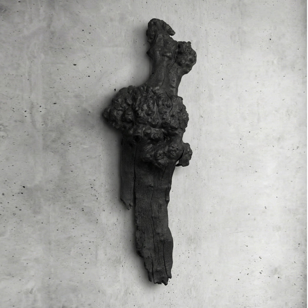 Barca Fosil Ahşap Duvar Objesi - Yakisugi El İşçiliği