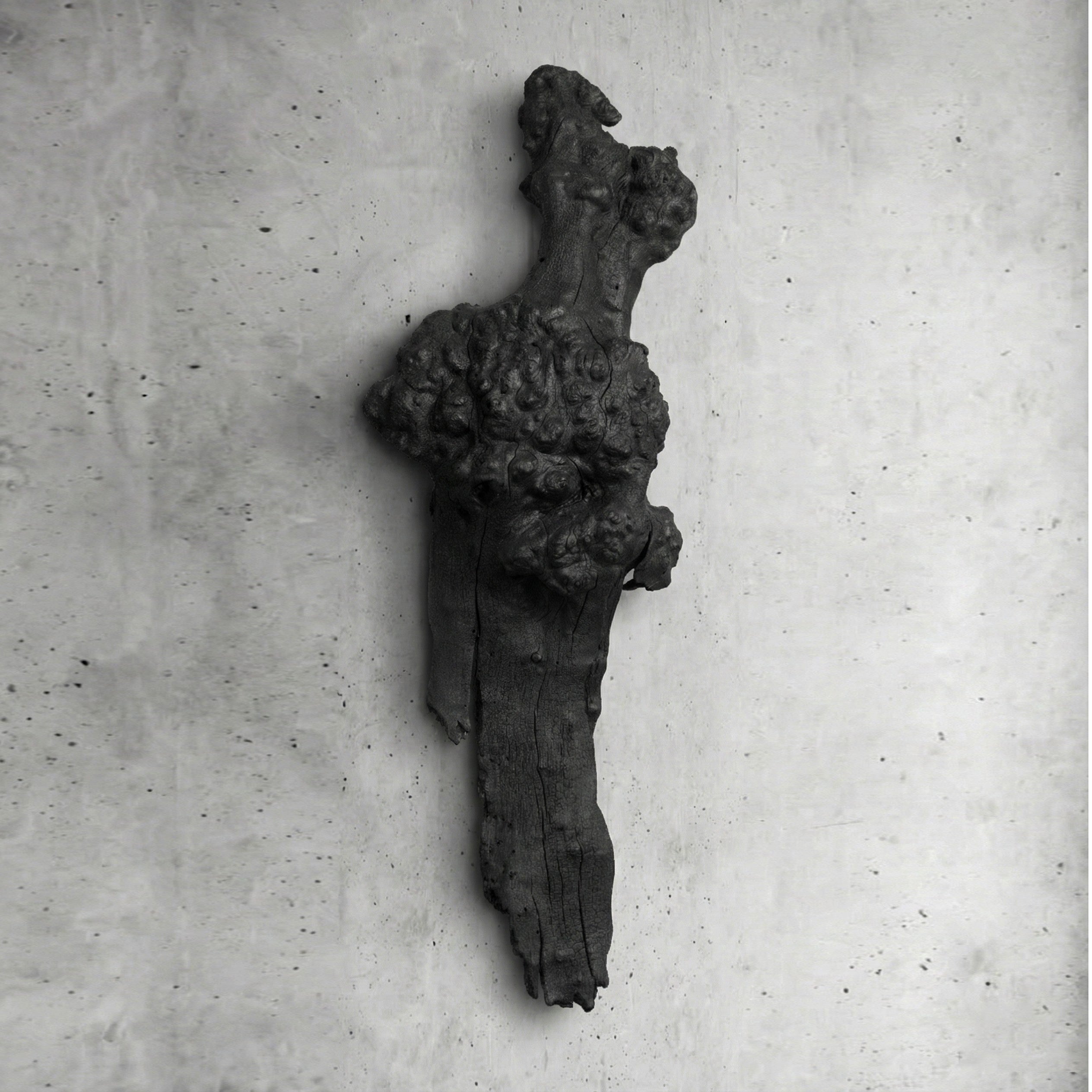 Barca Fosil Ahşap Duvar Objesi - Yakisugi El İşçiliği