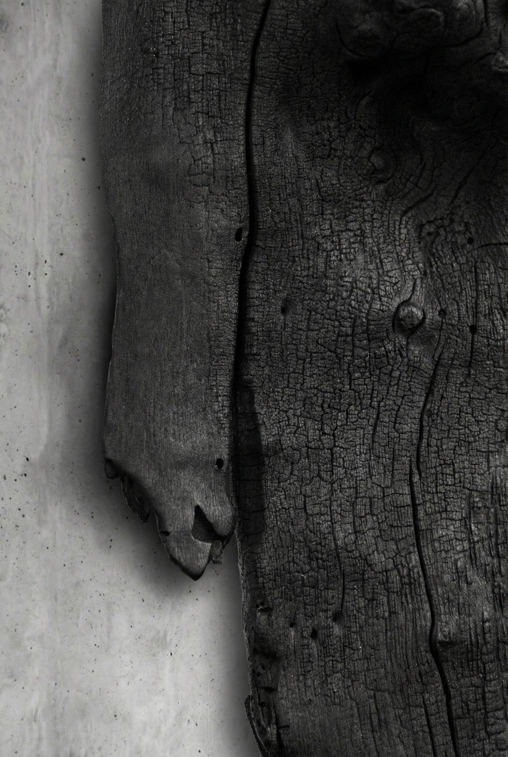 Barca Fosil Ahşap Duvar Objesi - Yakisugi El İşçiliği