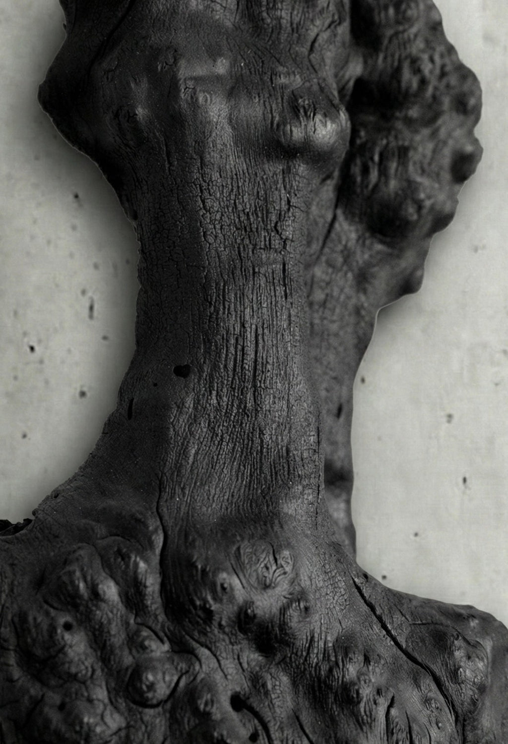 Barca Fosil Ahşap Duvar Objesi - Yakisugi El İşçiliği