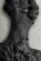 Barca Fosil Ahşap Duvar Objesi - Yakisugi El İşçiliği