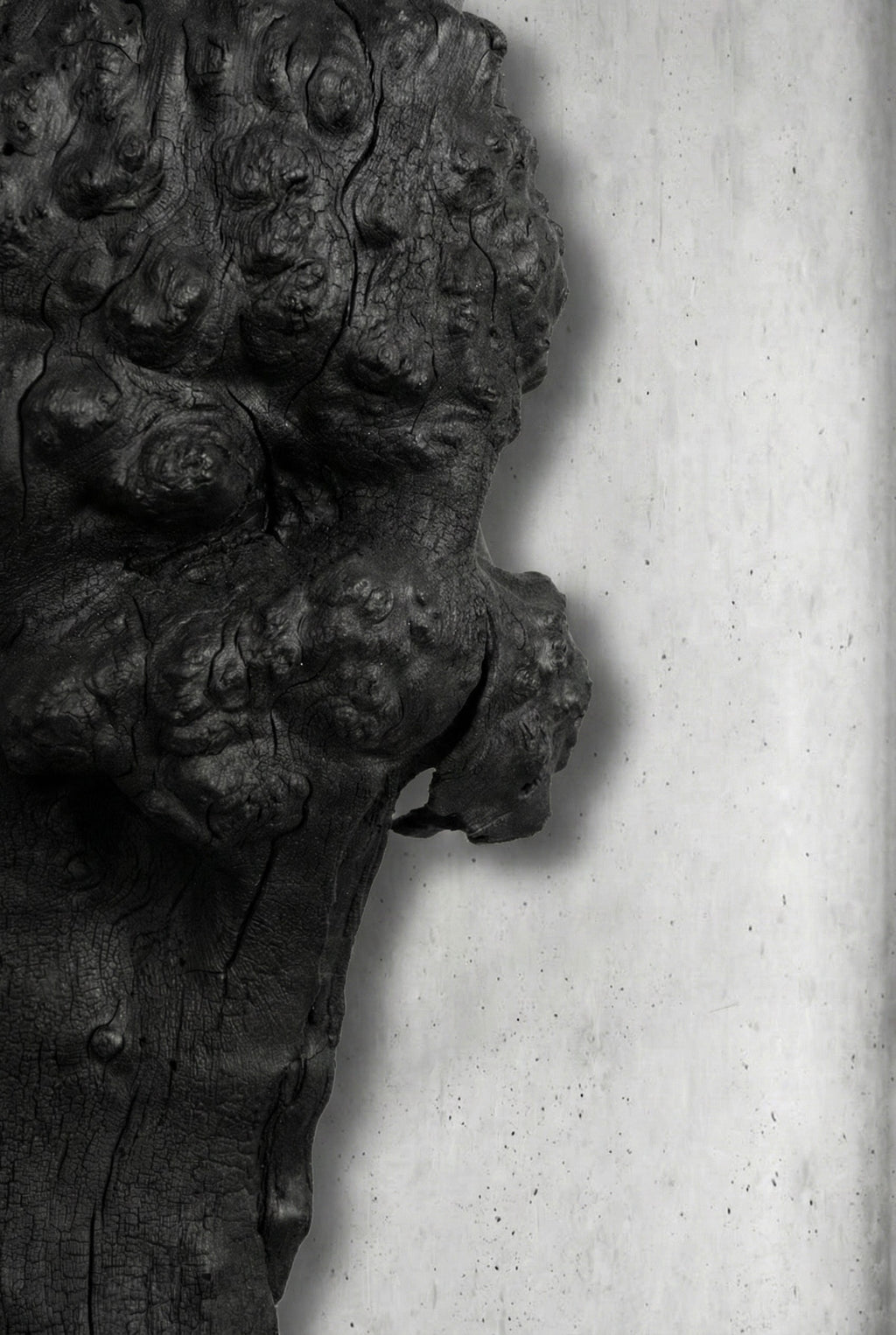 Barca Fosil Ahşap Duvar Objesi - Yakisugi El İşçiliği