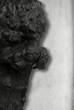 Barca Fosil Ahşap Duvar Objesi - Yakisugi El İşçiliği