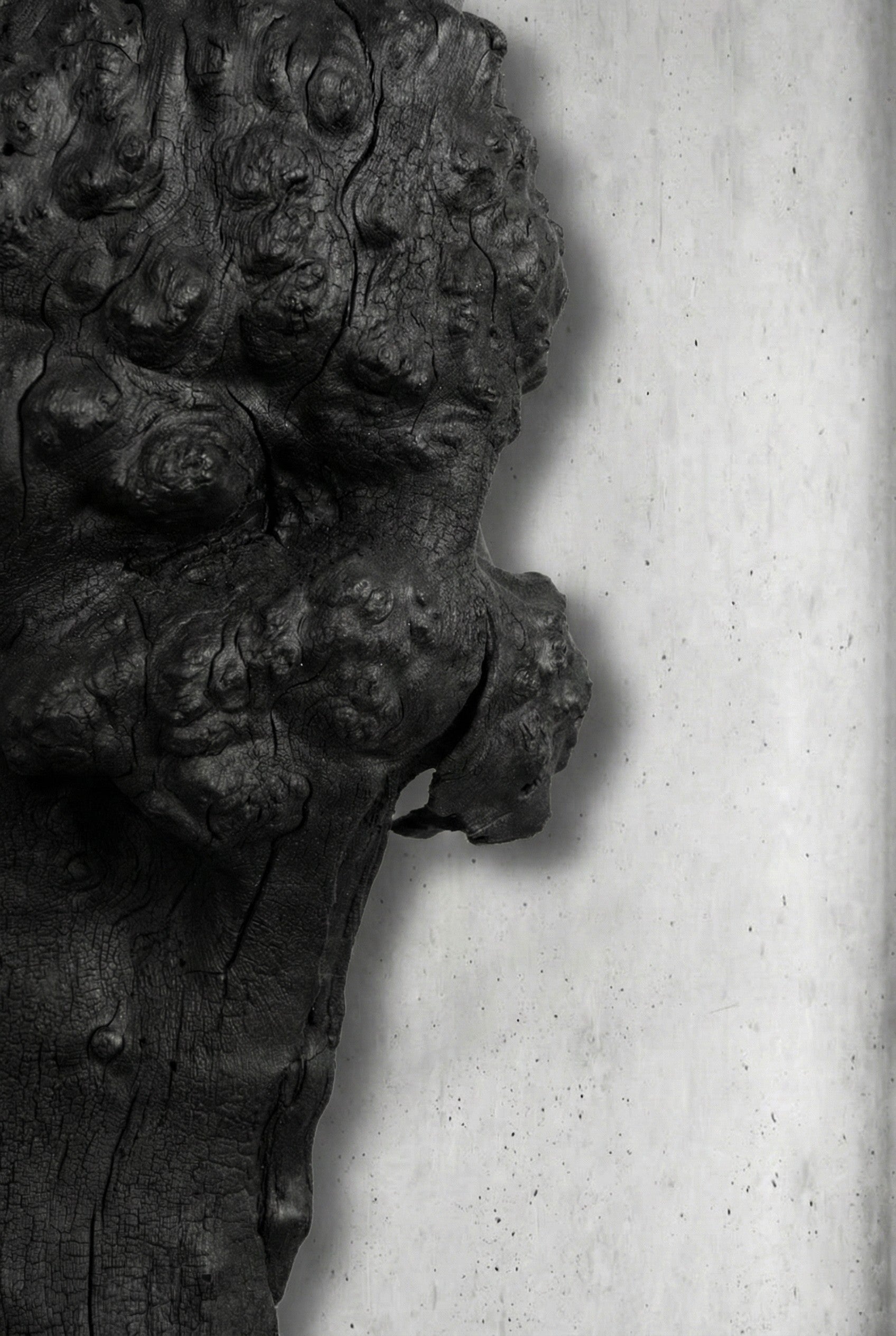 Barca Fosil Ahşap Duvar Objesi - Yakisugi El İşçiliği