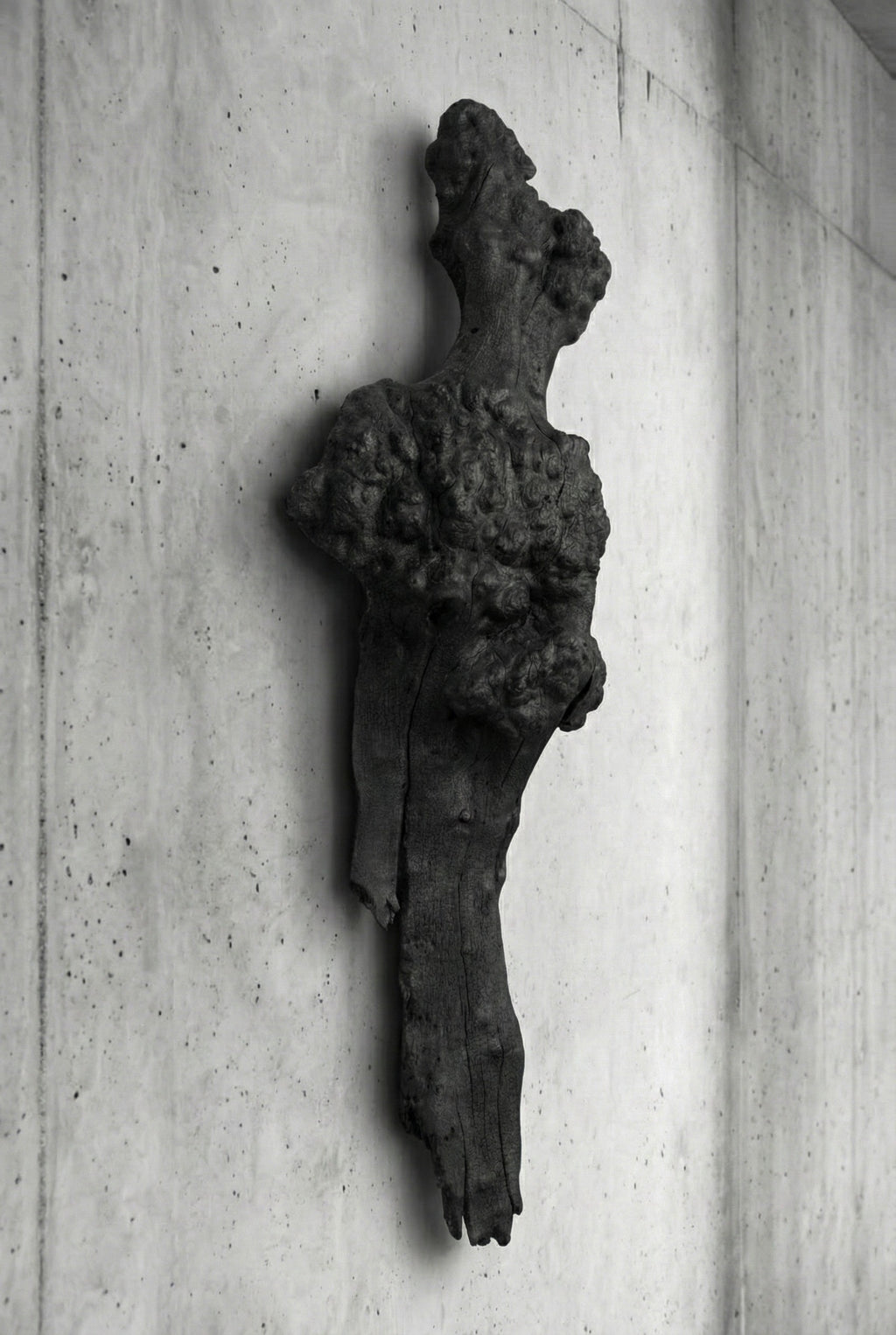 Barca Fosil Ahşap Duvar Objesi - Yakisugi El İşçiliği