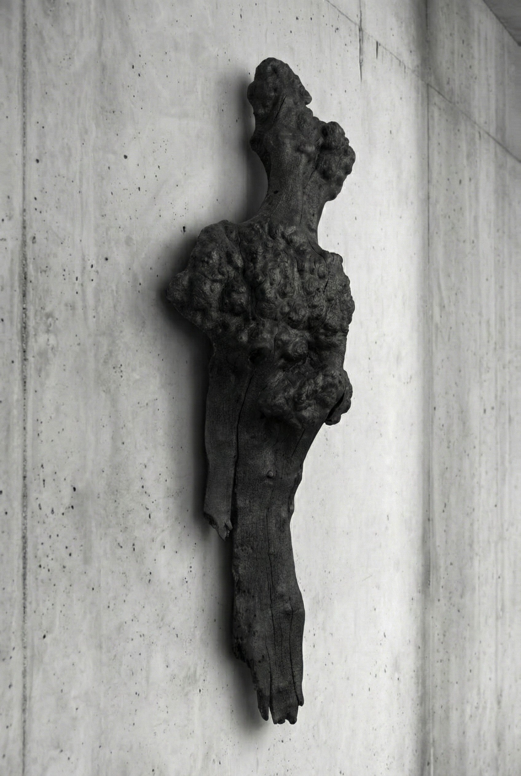 Barca Fosil Ahşap Duvar Objesi - Yakisugi El İşçiliği