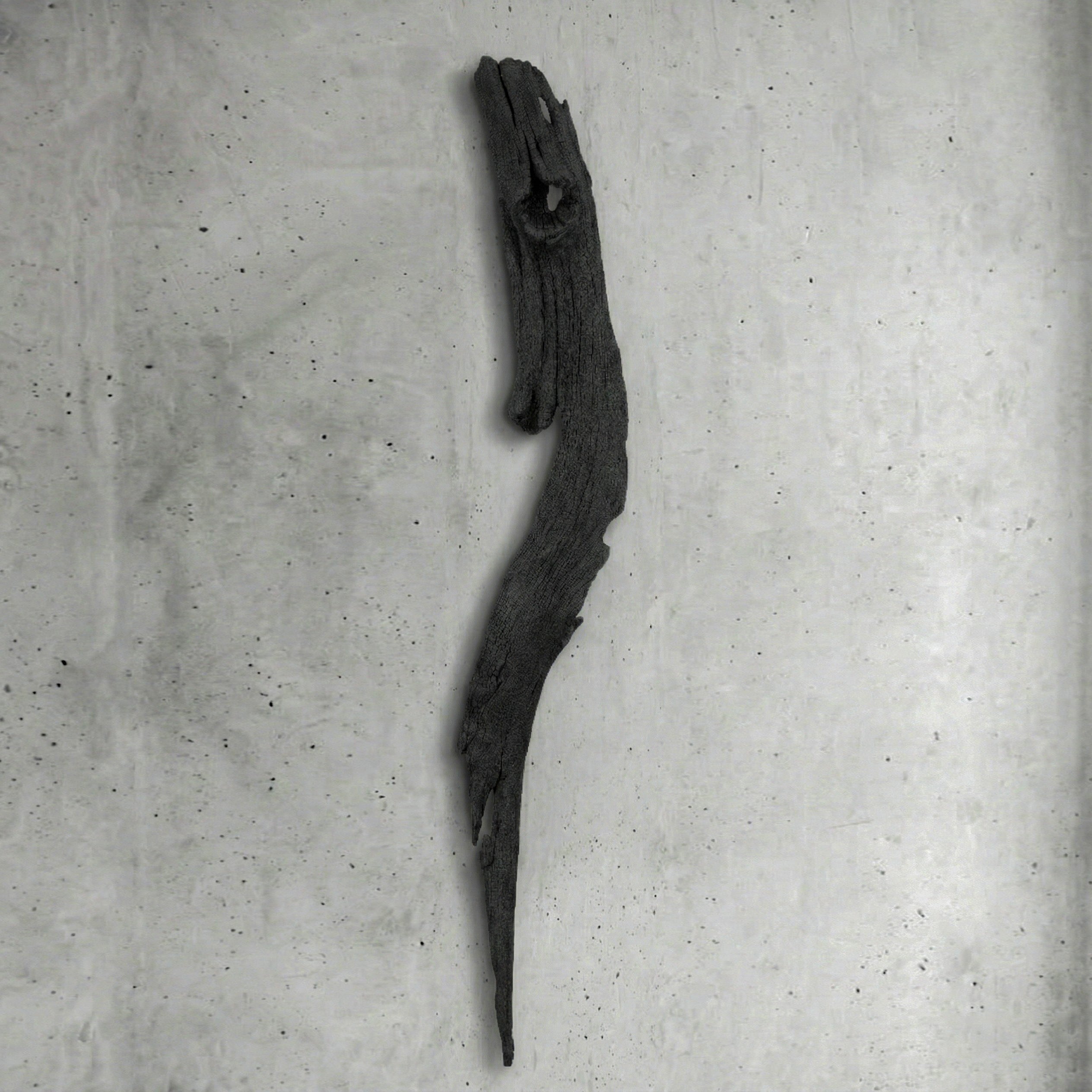 Phoen Fosil Ahşap Duvar Objesi - Yakisugi El İşçiliği