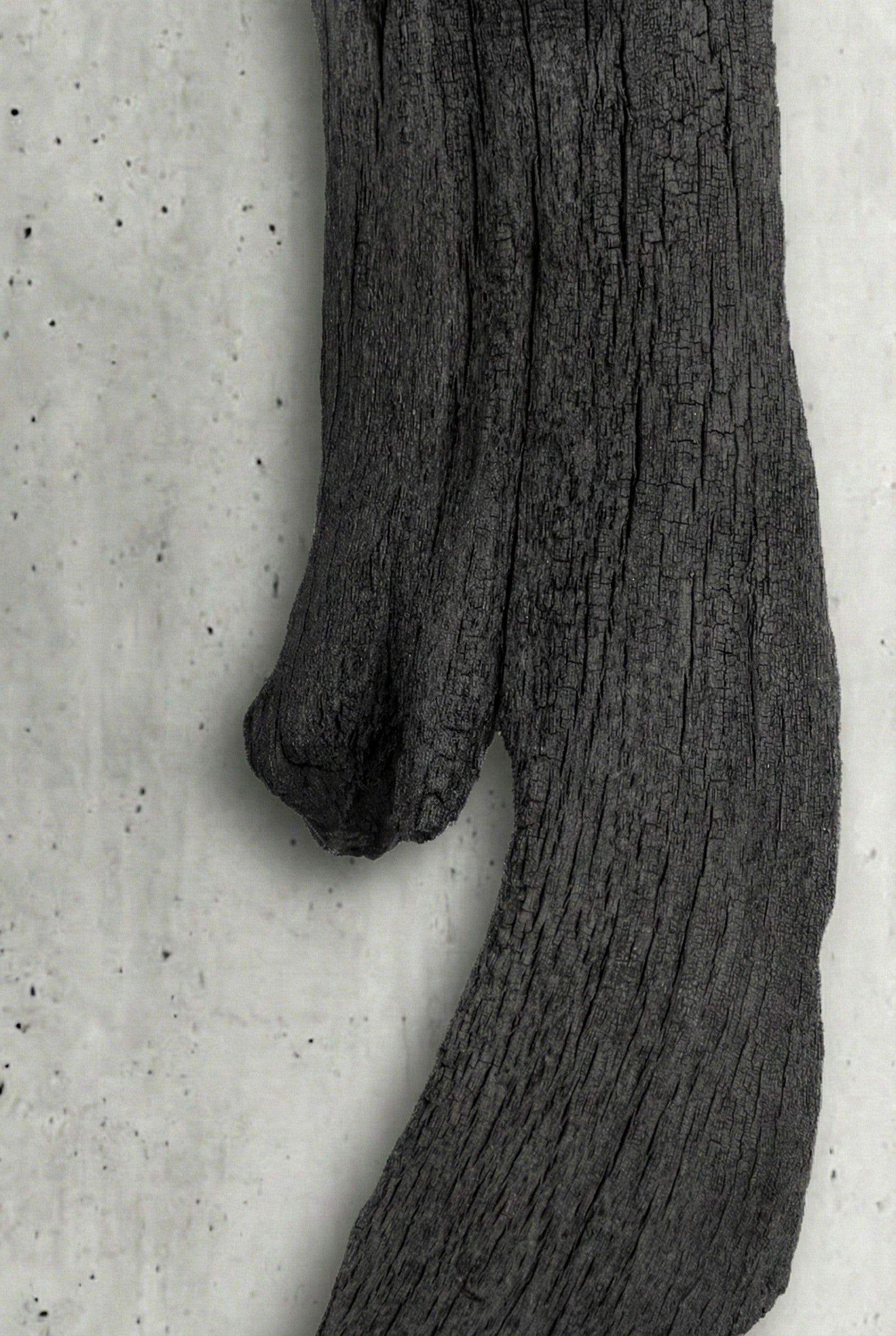 Phoen Fosil Ahşap Duvar Objesi - Yakisugi El İşçiliği