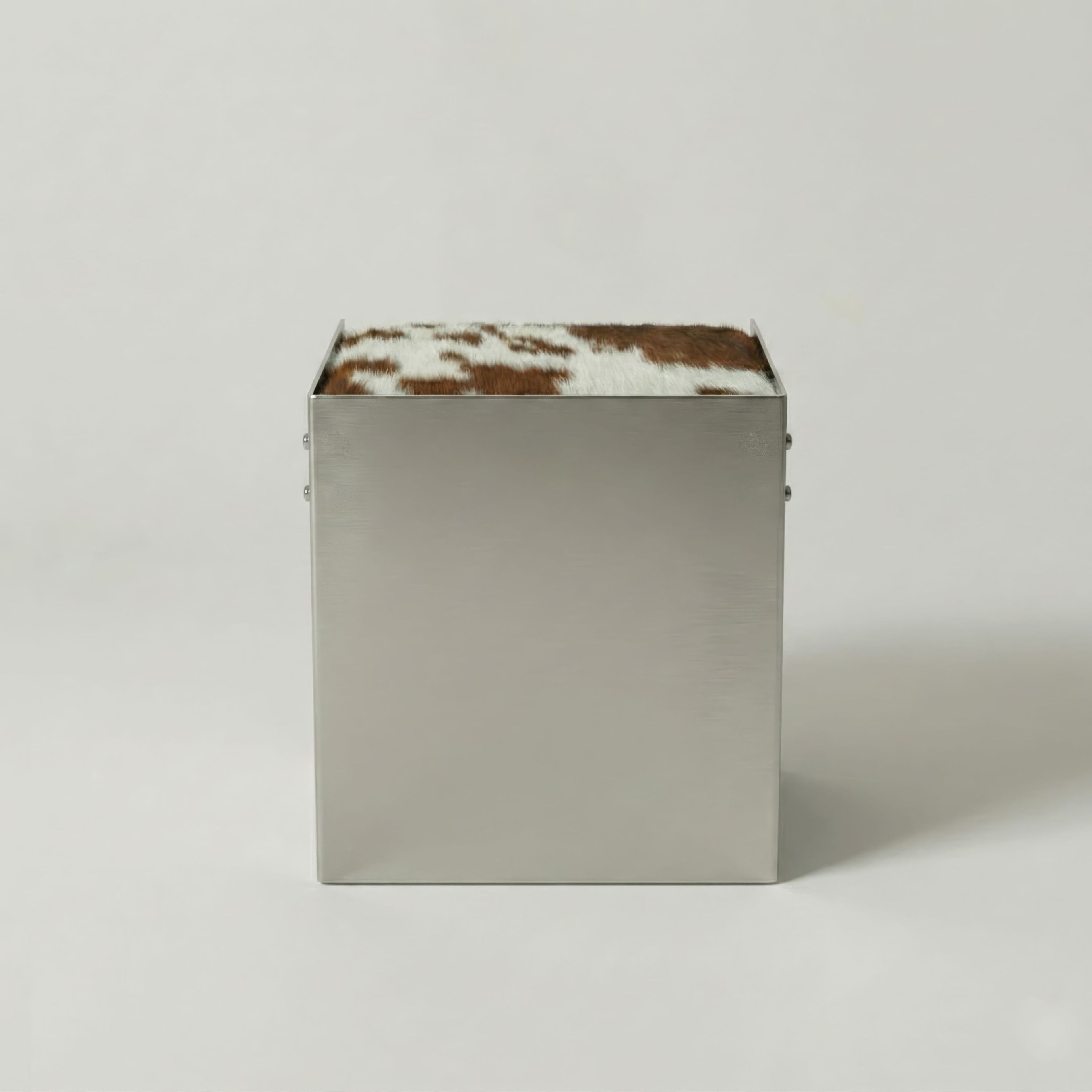 Scobel Paslanmaz Çelik - Sığır Derisi Puf / Tabure (Kahve)